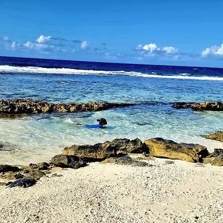 Un Ecrin De Paix Au Soleil Et Proche De La Mer Moorea Εξωτερικό φωτογραφία