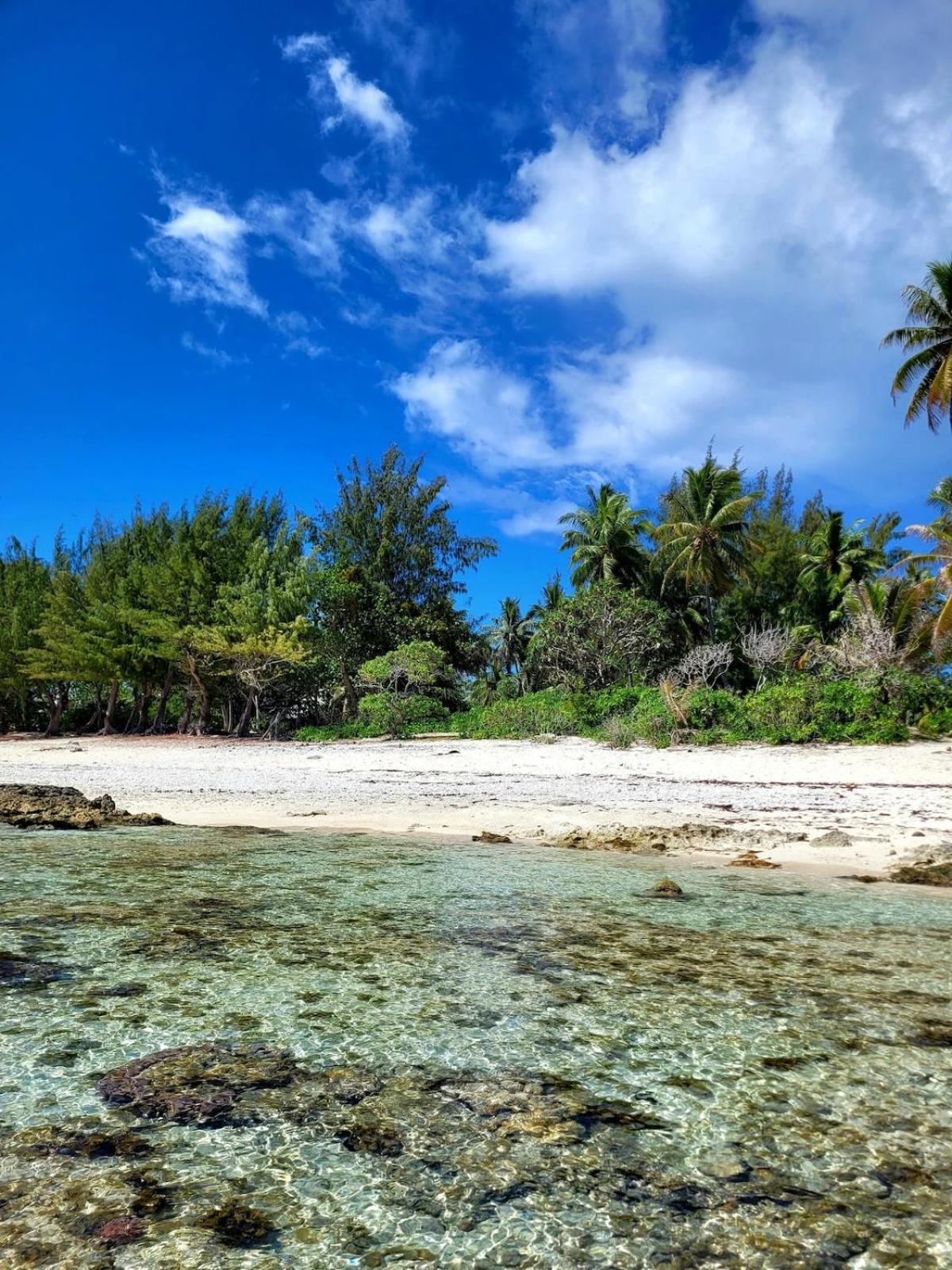 Un Ecrin De Paix Au Soleil Et Proche De La Mer Moorea Εξωτερικό φωτογραφία